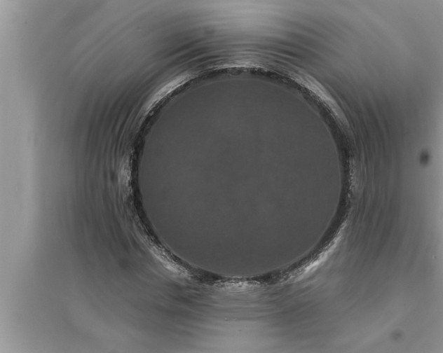 X0000095520826200712211301