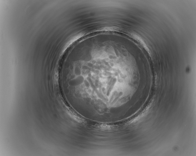 X0000095520827200712211301