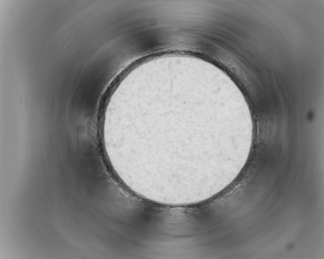 X0000095520828200712211301