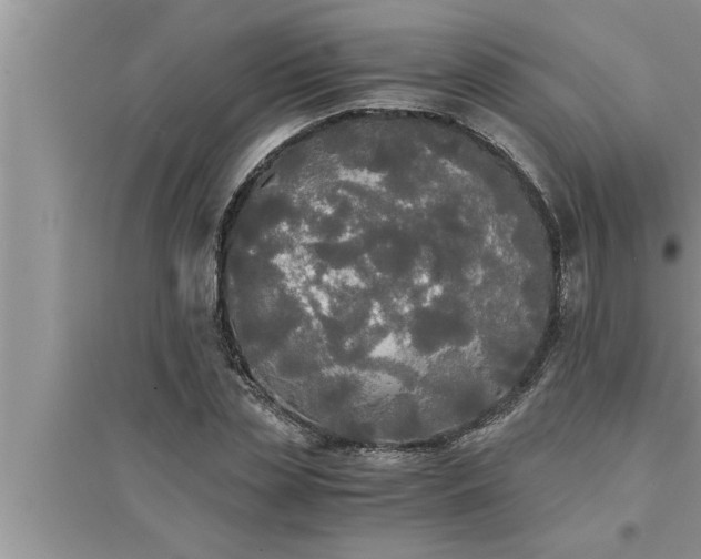 X0000095520829200712211301