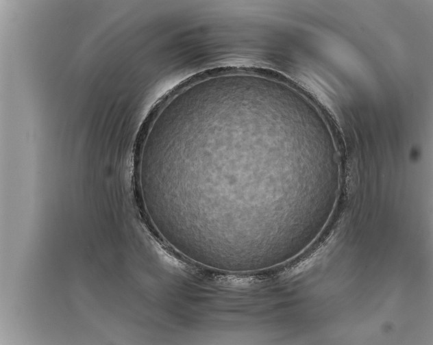 X0000095520831200712211301