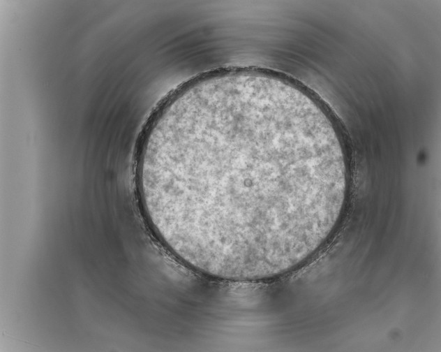 X0000095520832200712211301