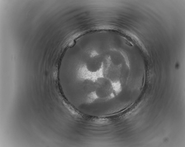 X0000095520833200712211301