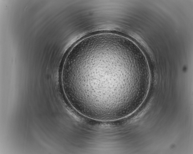 X0000095520834200712211301