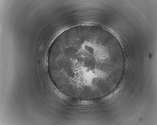 X0000095520835200712211301