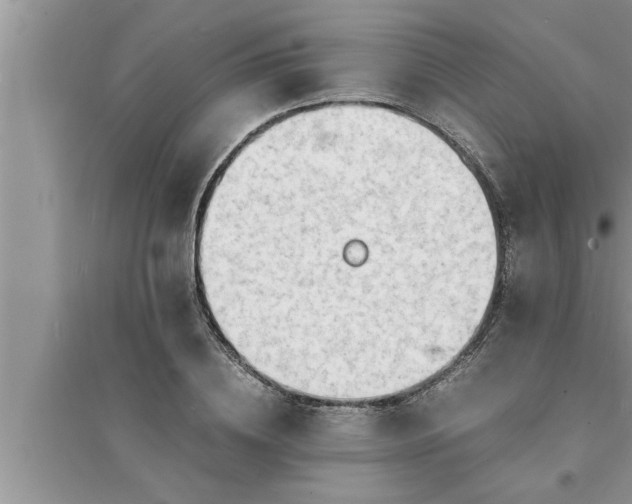 X0000095520836200712211301