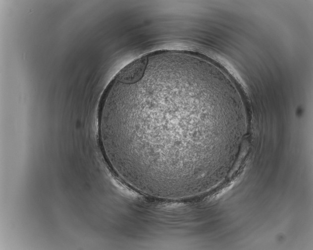 X0000095520837200712211301