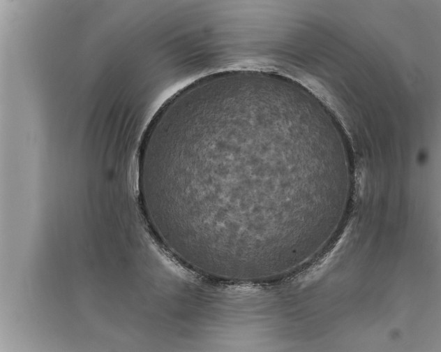 X0000095520838200712211301