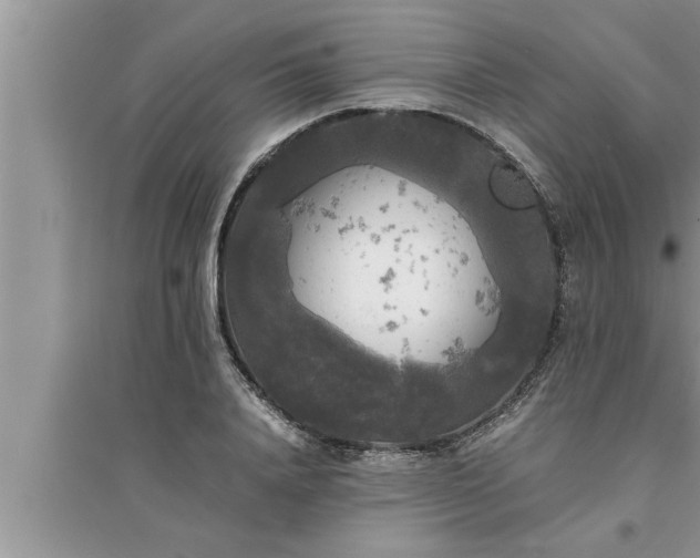 X0000095520840200712211301