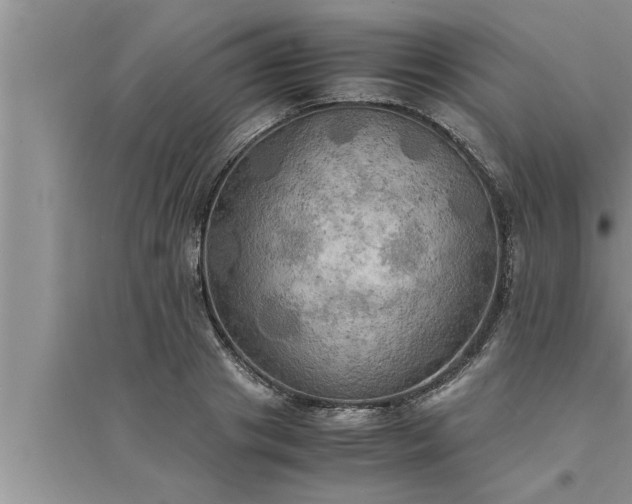 X0000095520841200712211301