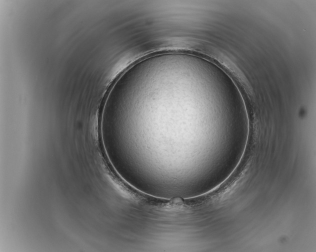 X0000095520842200712211301