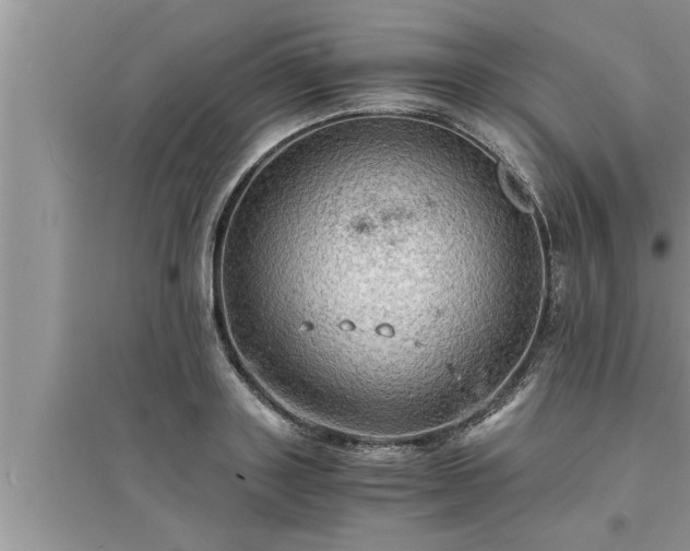 X0000095520843200712211301