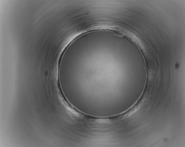 X0000095520844200712211301