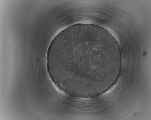 X0000095520845200712211301