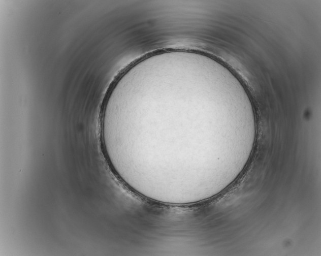 X0000095520848200712211301