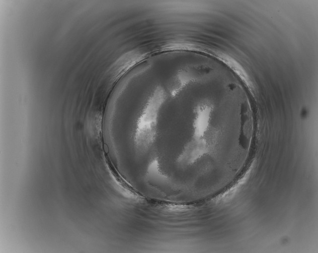 X0000095520849200712211301