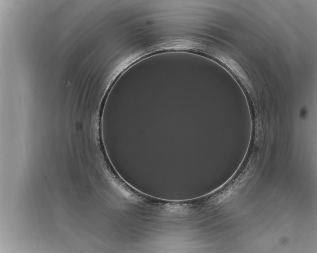 X0000095520850200712211301