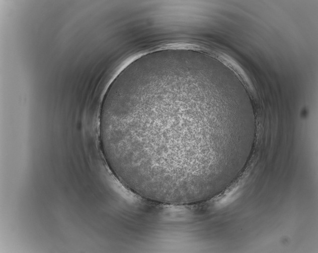 X0000095520852200712211301