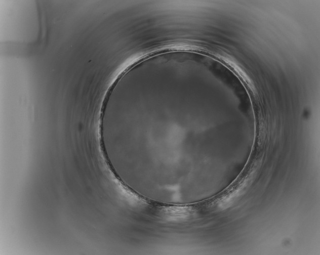 X0000095520853200712211301