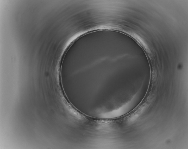 X0000095520854200712211301