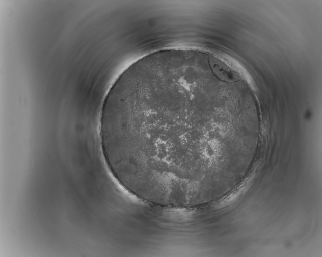 X0000095520855200712211301