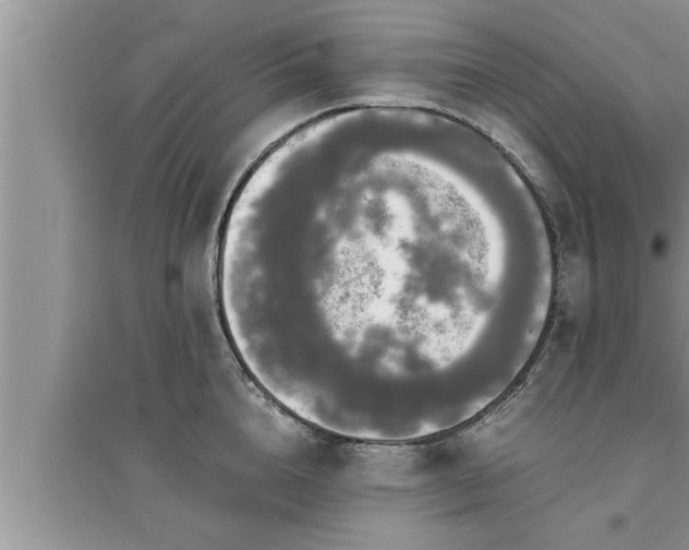 X0000095520856200712211301