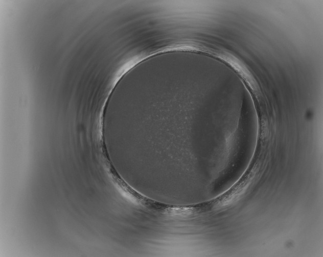 X0000095520858200712211301