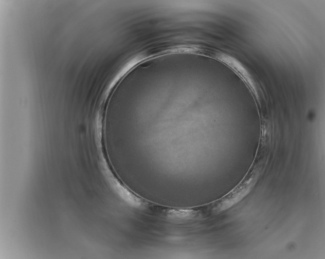 X0000095520859200712211301