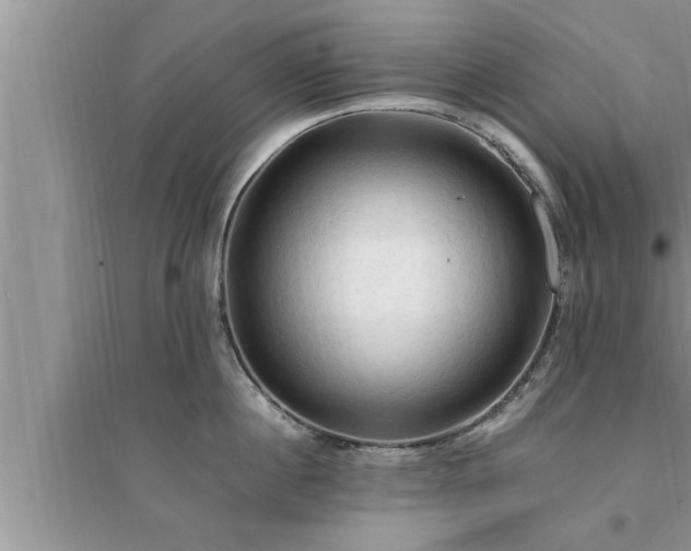 X0000095520860200712211301