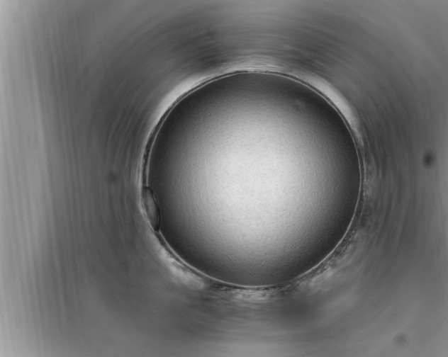 X0000095520861200712211301