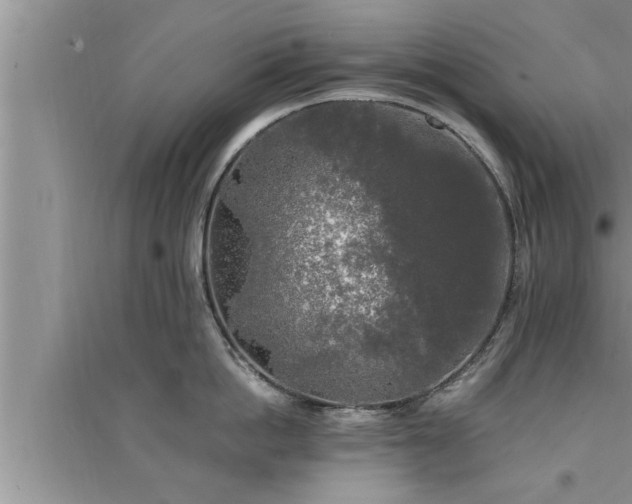 X0000095520862200712211301