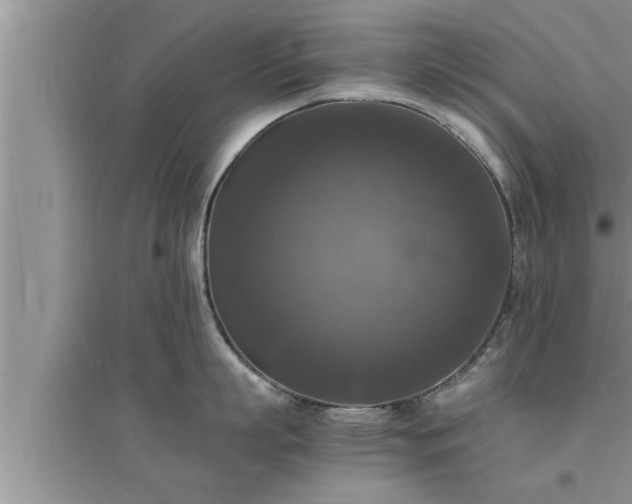 X0000095520863200712211301