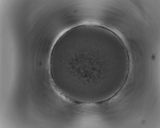 X0000095520864200712211301