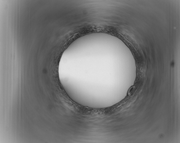 X0000095520865200712211301