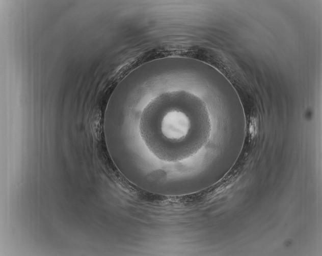 X0000095520867200712211301