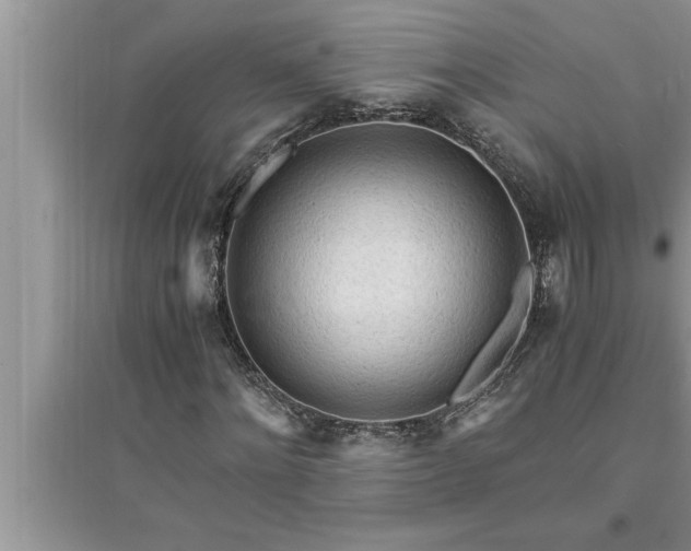 X0000095520868200712211301