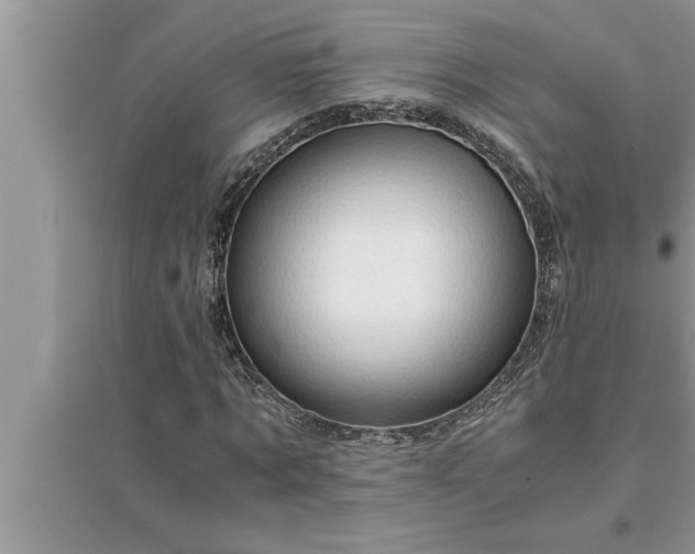 X0000095520869200712211301