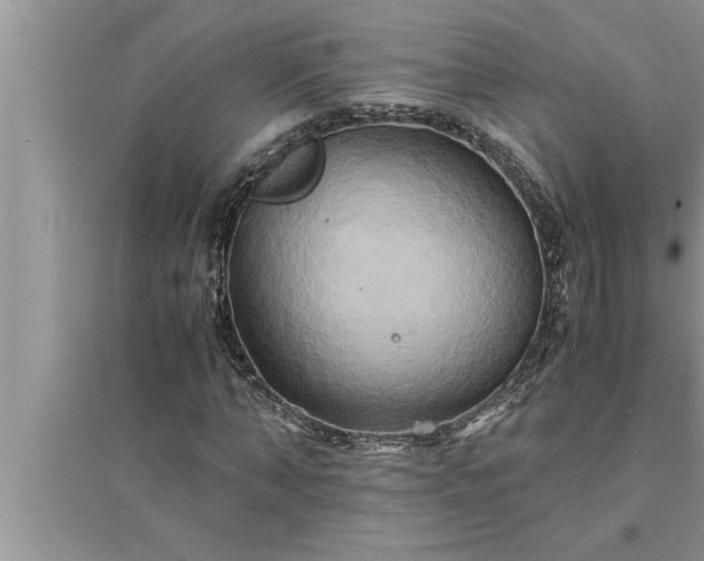 X0000095520870200712211301