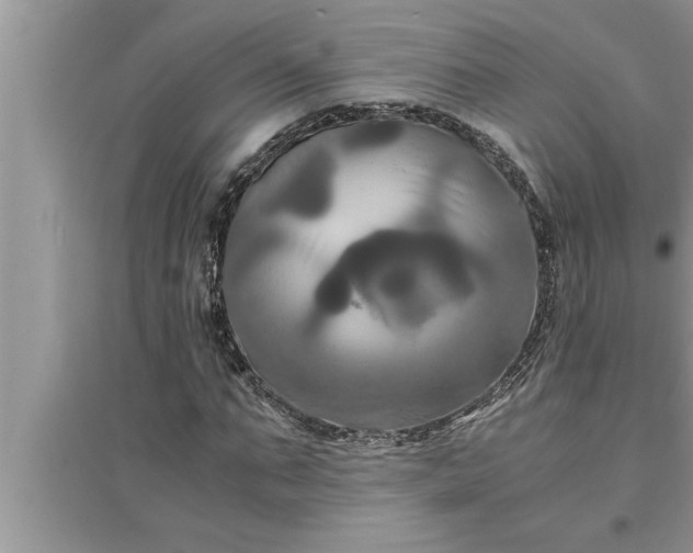 X0000095520871200712211301