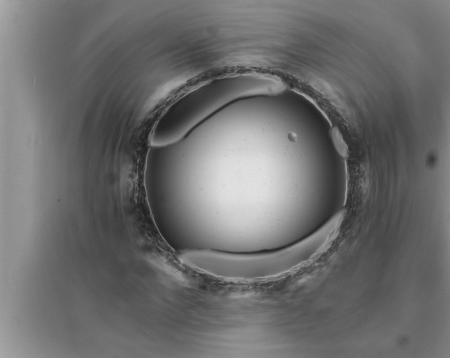 X0000095520872200712211301