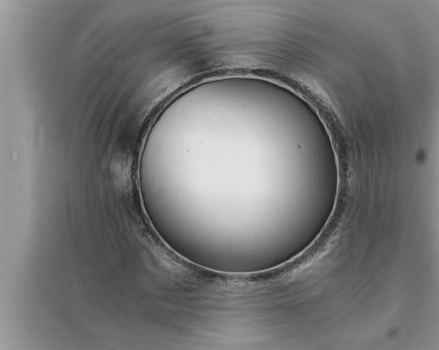 X0000095520873200712211301