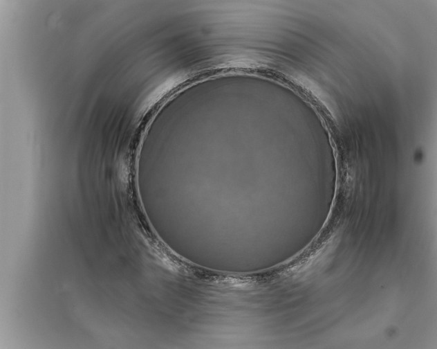 X0000095520874200712211300