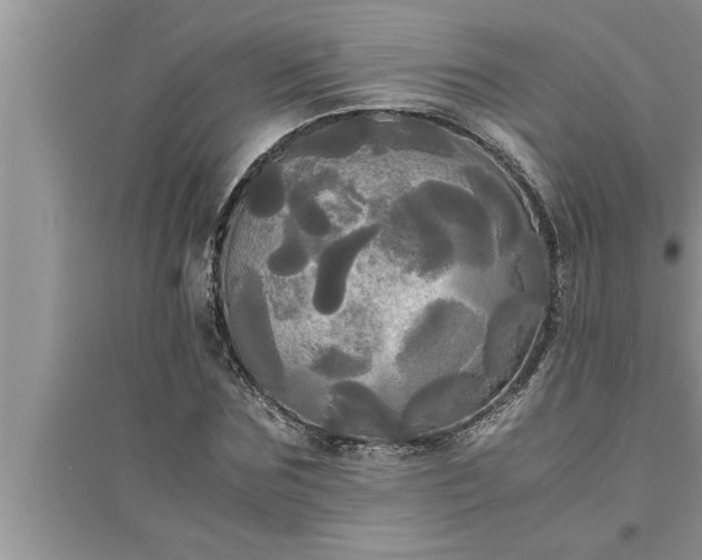 X0000095520875200712211300