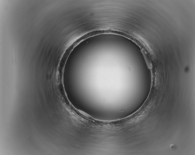 X0000095520876200712211300