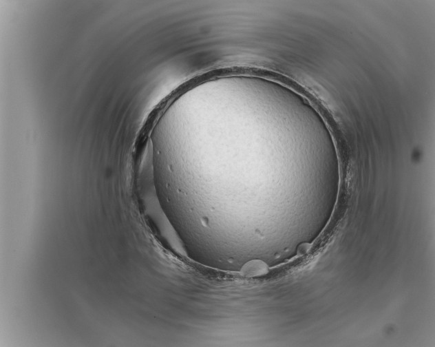 X0000095520877200712211300