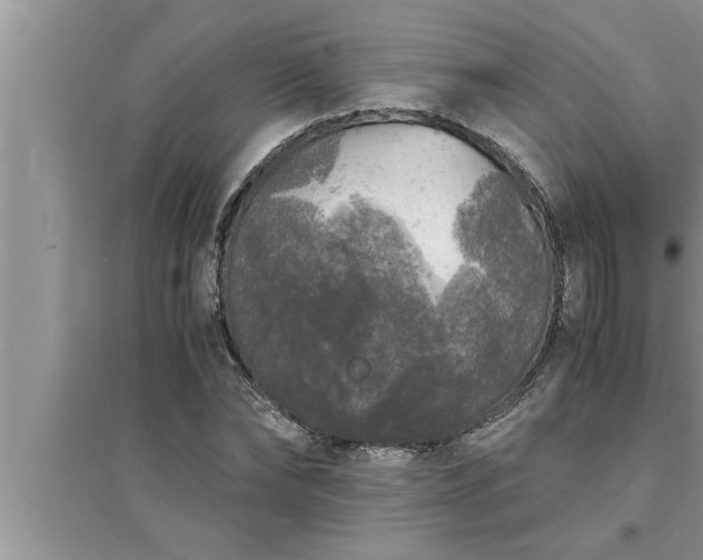 X0000095520878200712211300