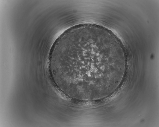 X0000095520879200712211300