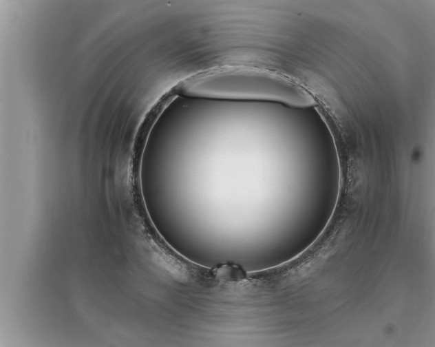 X0000095520880200712211300