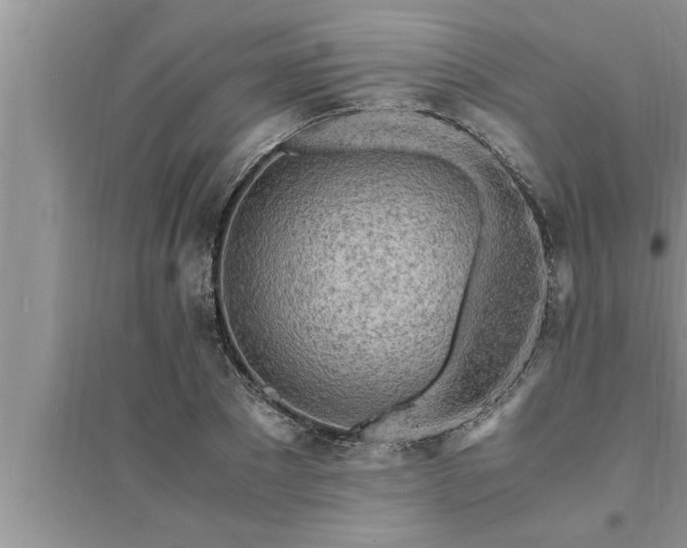 X0000095520881200712211300