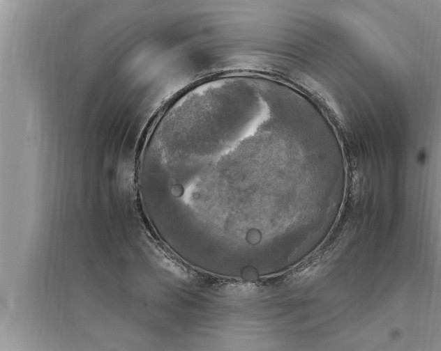 X0000095520882200712211300